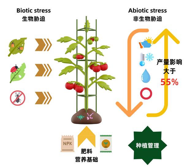 全球化視野下的作物健康與可持續(xù)發(fā)展：拜耳德來?品牌的創(chuàng)新實踐與未來展望(圖5)