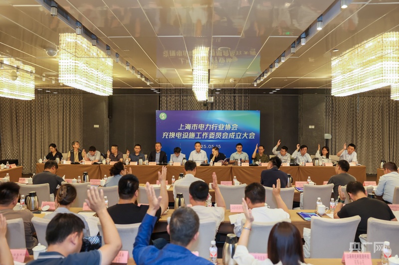 全國首家充換電設(shè)施工作委員會在滬成立(圖2)