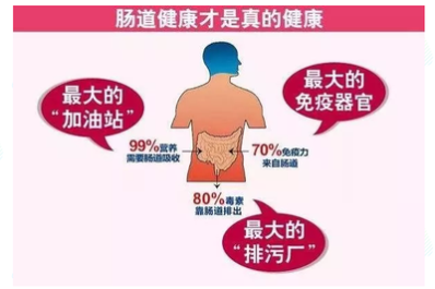 世界腸道日濟南肛泰建議多點“腸”識健康“腸”伴(圖2)