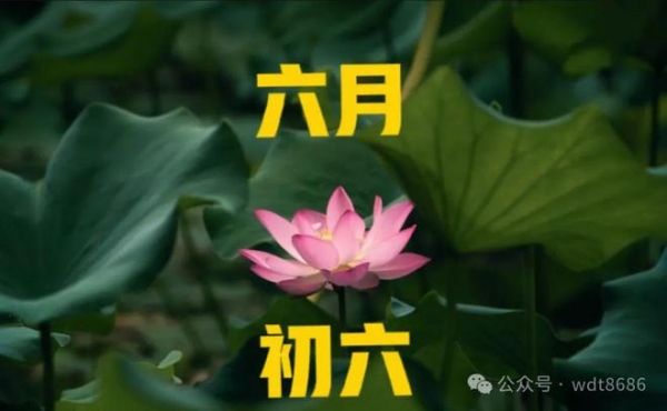 “不怕六月六日晴就怕六月六日陰”究竟為啥怕陰雨？答案來了！(圖1)